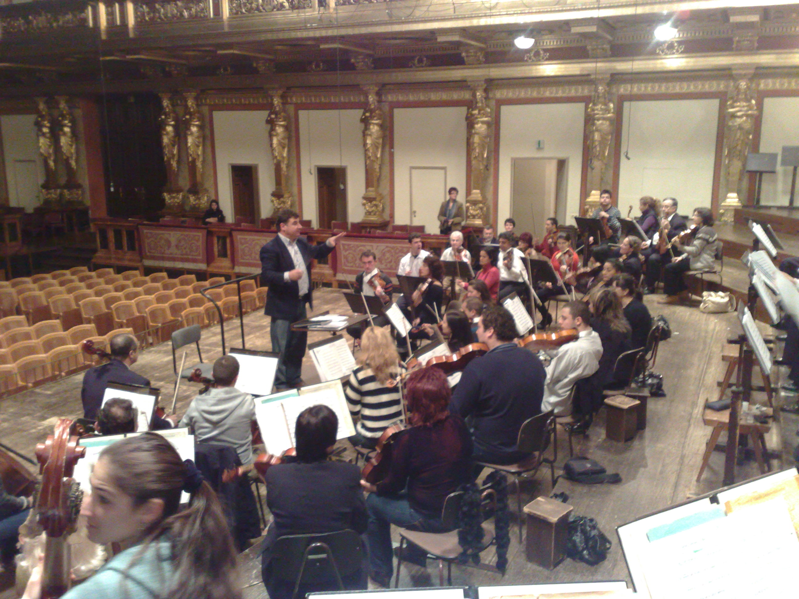 MUSIKVEREIN VIENNA GOLDEN HALL - Left 1